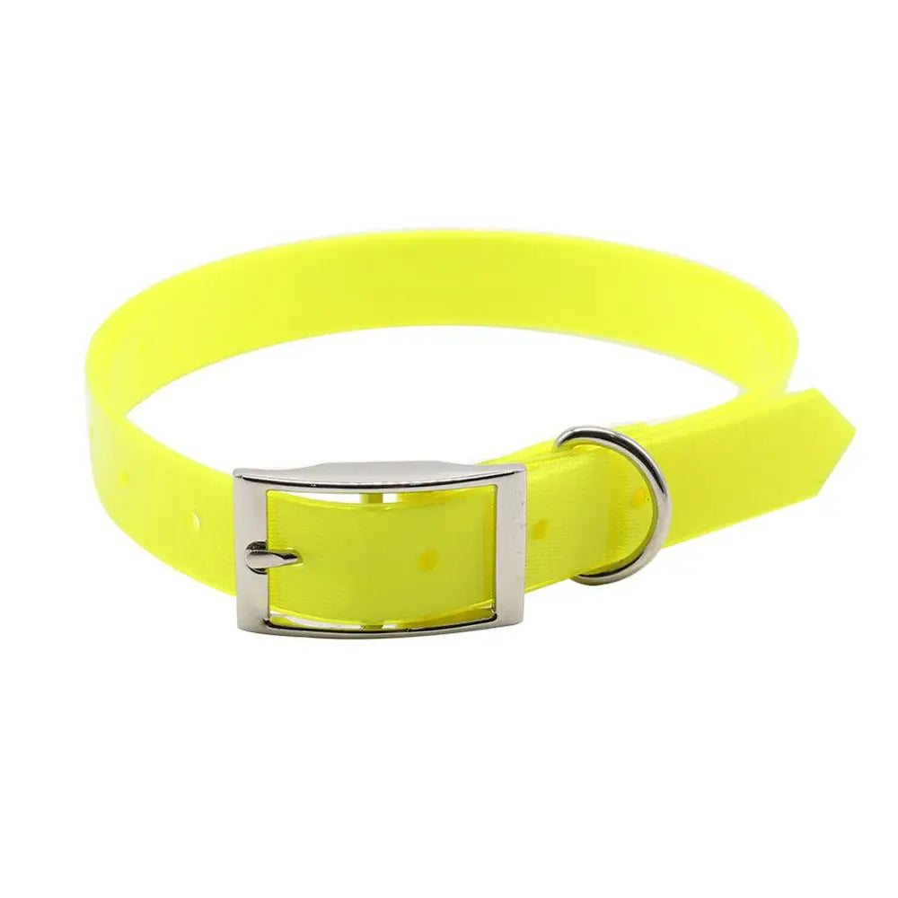 New Fashion Waterproof Dog Collar