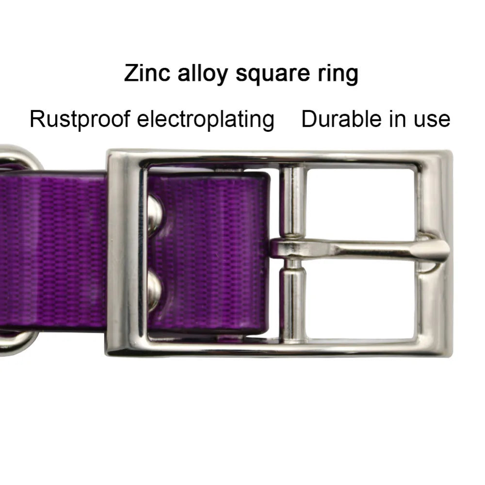 New Fashion Waterproof Dog Collar