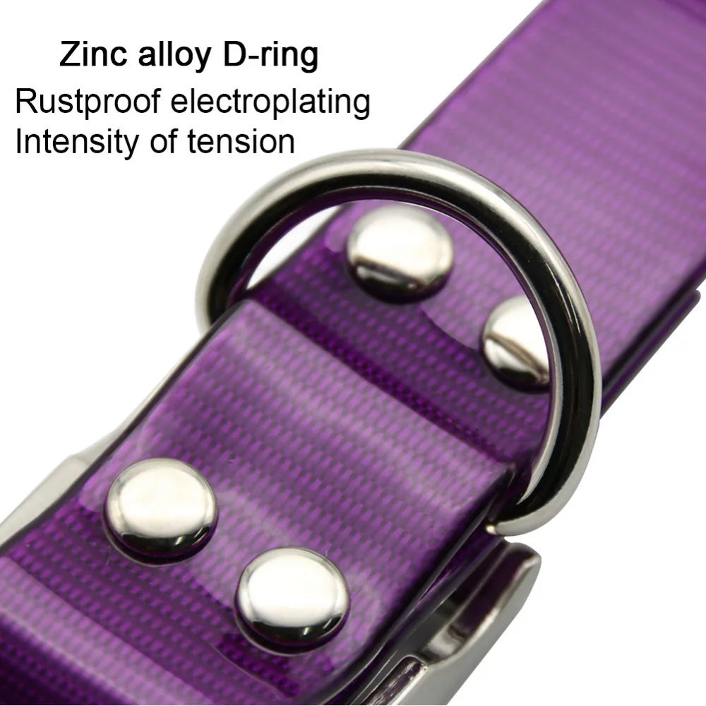 New Fashion Waterproof Dog Collar