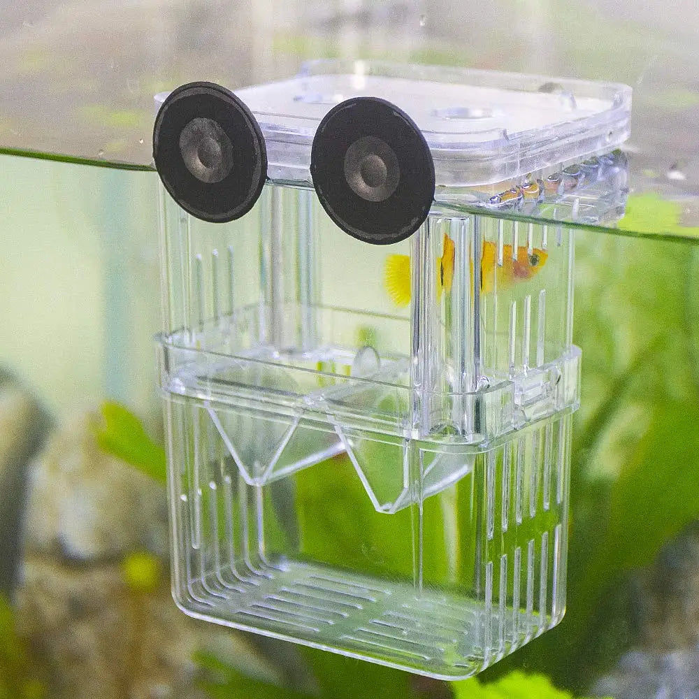 Durable Aquarium Fish Breeder Box