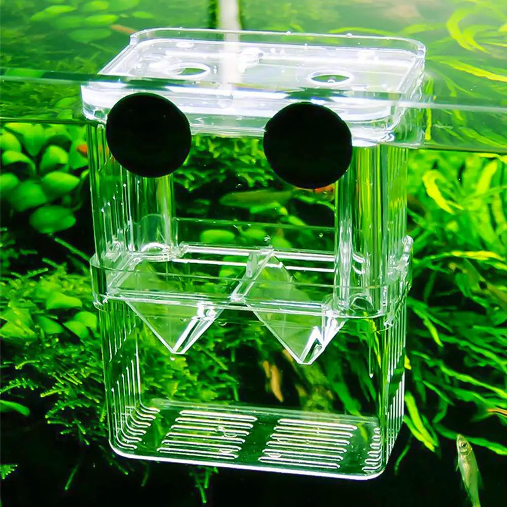 Durable Aquarium Fish Breeder Box