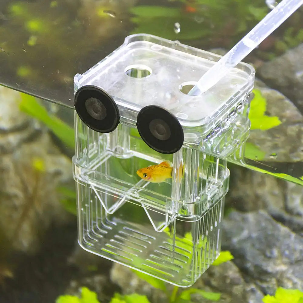 Durable Aquarium Fish Breeder Box