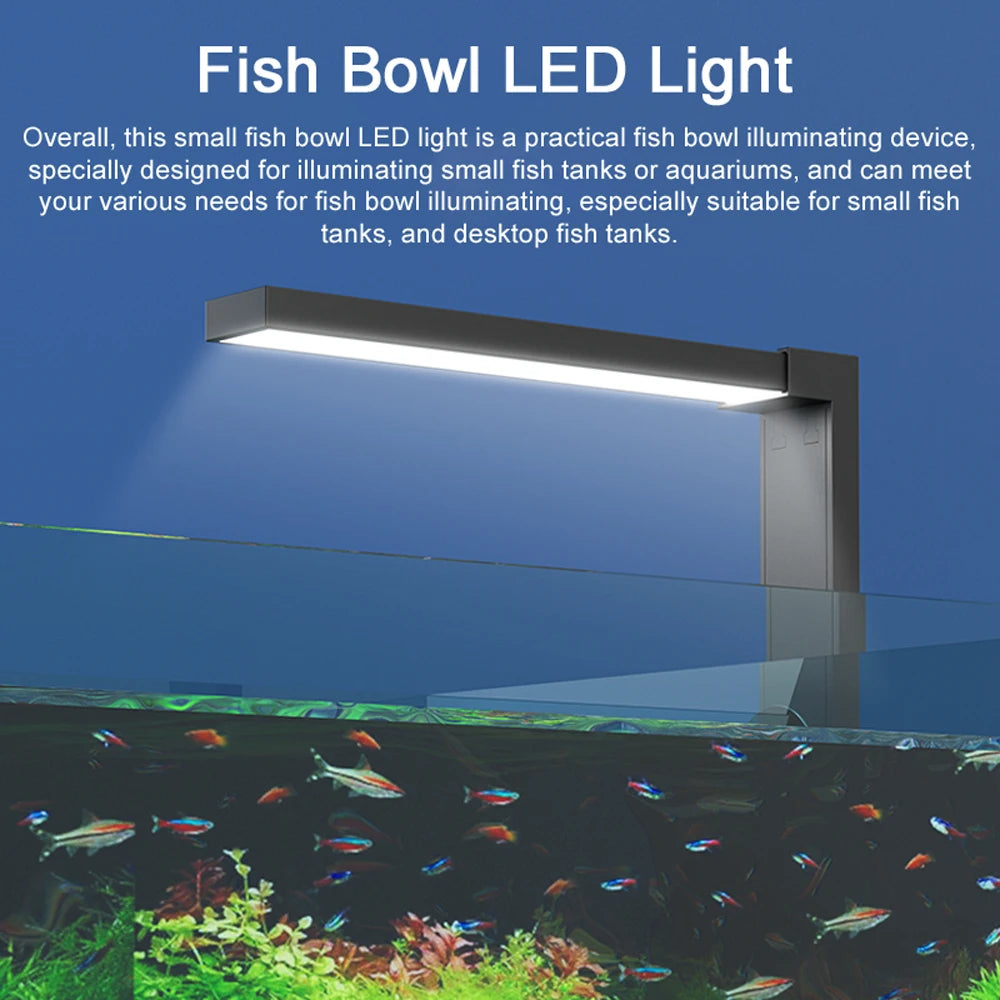 Compact LED Fish Bowl Light - Dual Mode