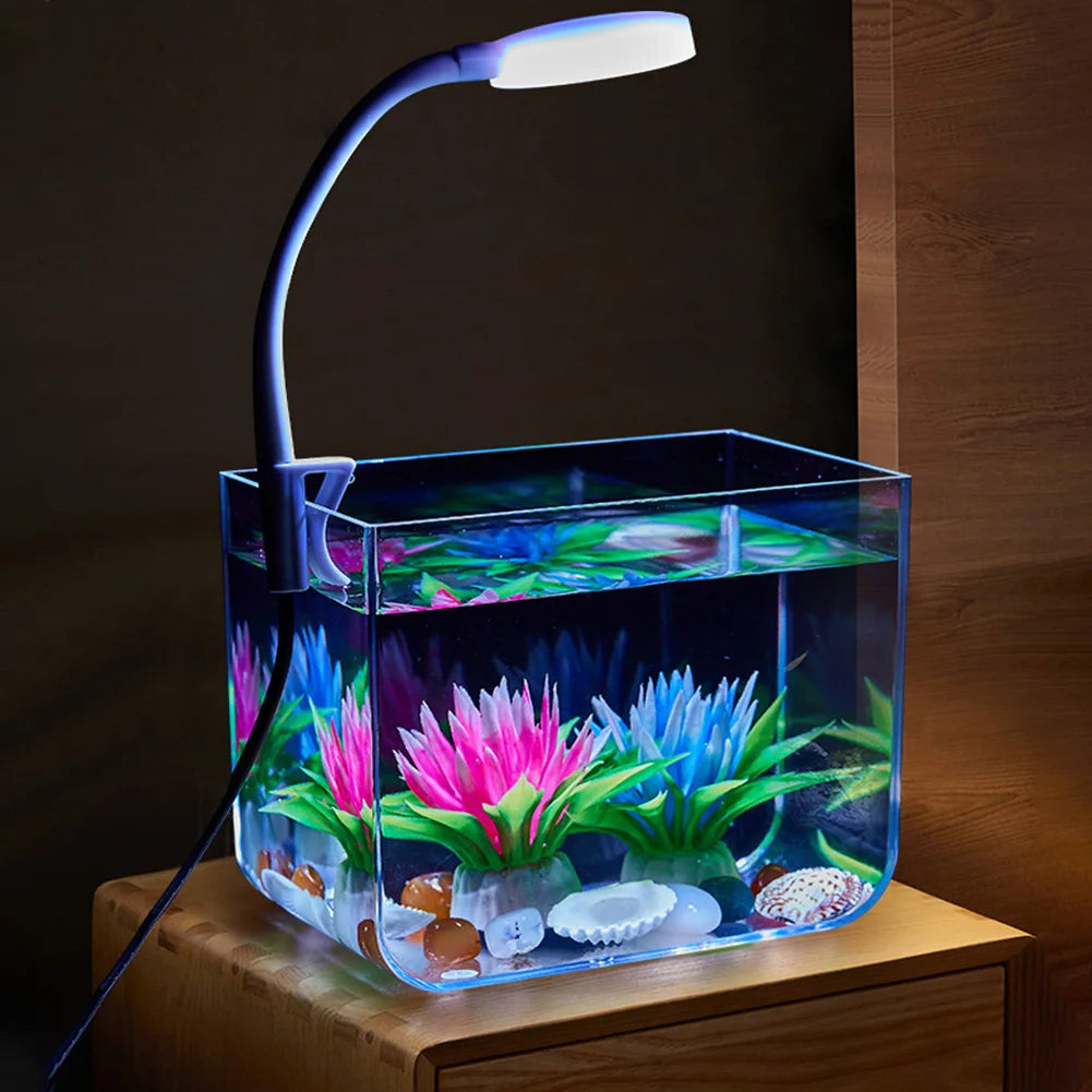 Betta Fish Tank with Wall Mounted Filter & LED Light