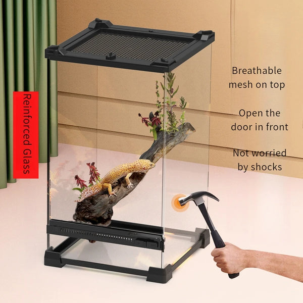 Insect Supplies Reptile Box