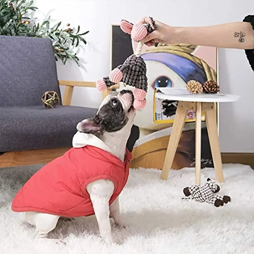 Dog Plush Toys Pack for Puppies – Durable Stuffed Chew Toys with Squeakers