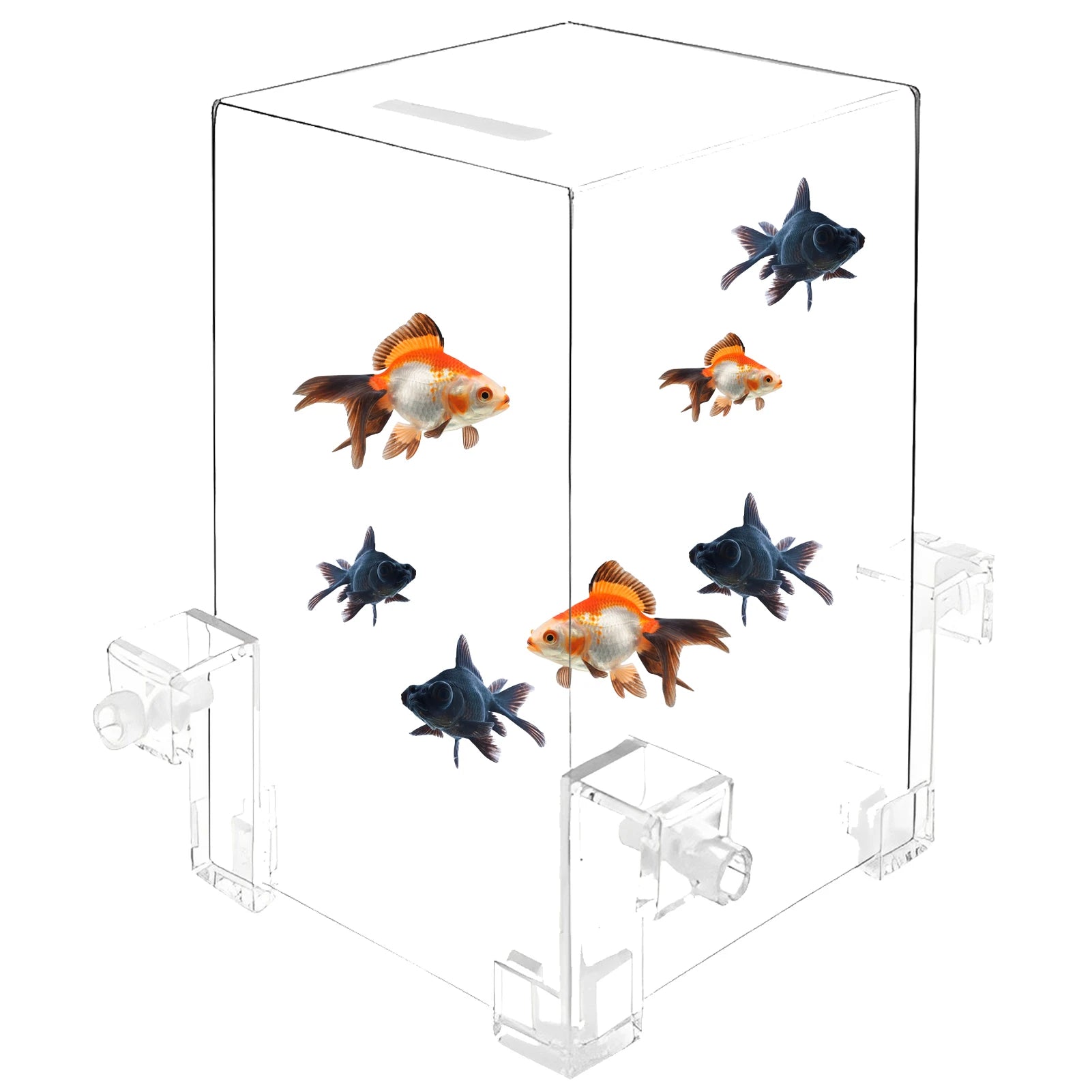 Fish Elevator Water Tank Level Enhancer & Aquarium Decor