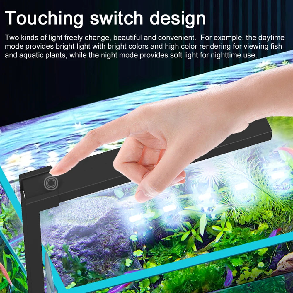 Compact LED Fish Bowl Light - Dual Mode