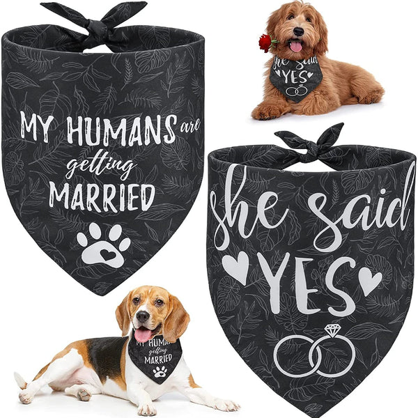 Personalized Dog Bandana 2-Pack with Bow Tie for Pets