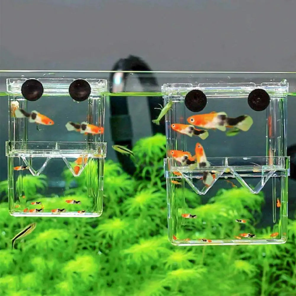 Durable Aquarium Fish Breeder Box