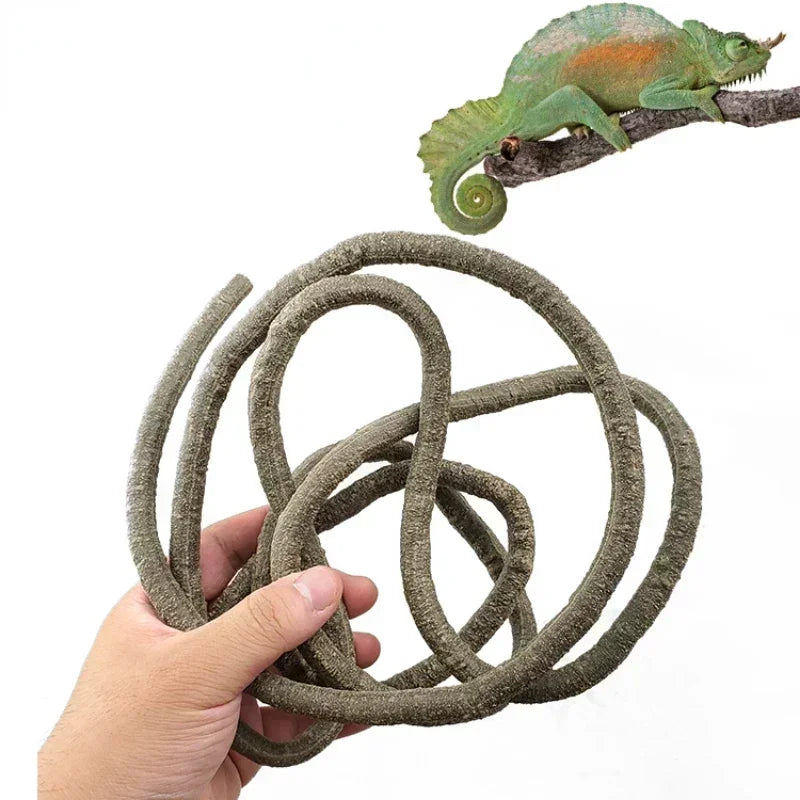 Large Flexible Vines Rattan Habitat Decoration
