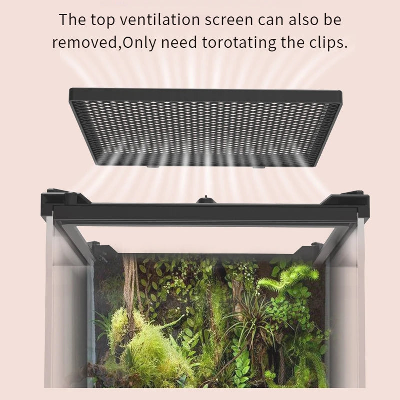 Insect Supplies Reptile Box