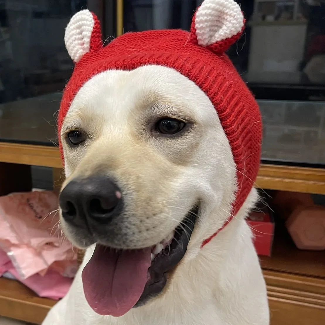 Dog Ear Muffs Noise Protection Pet Ears Covers Knitted Hat Winter Warm Earmuffs For Small Medium Dogs