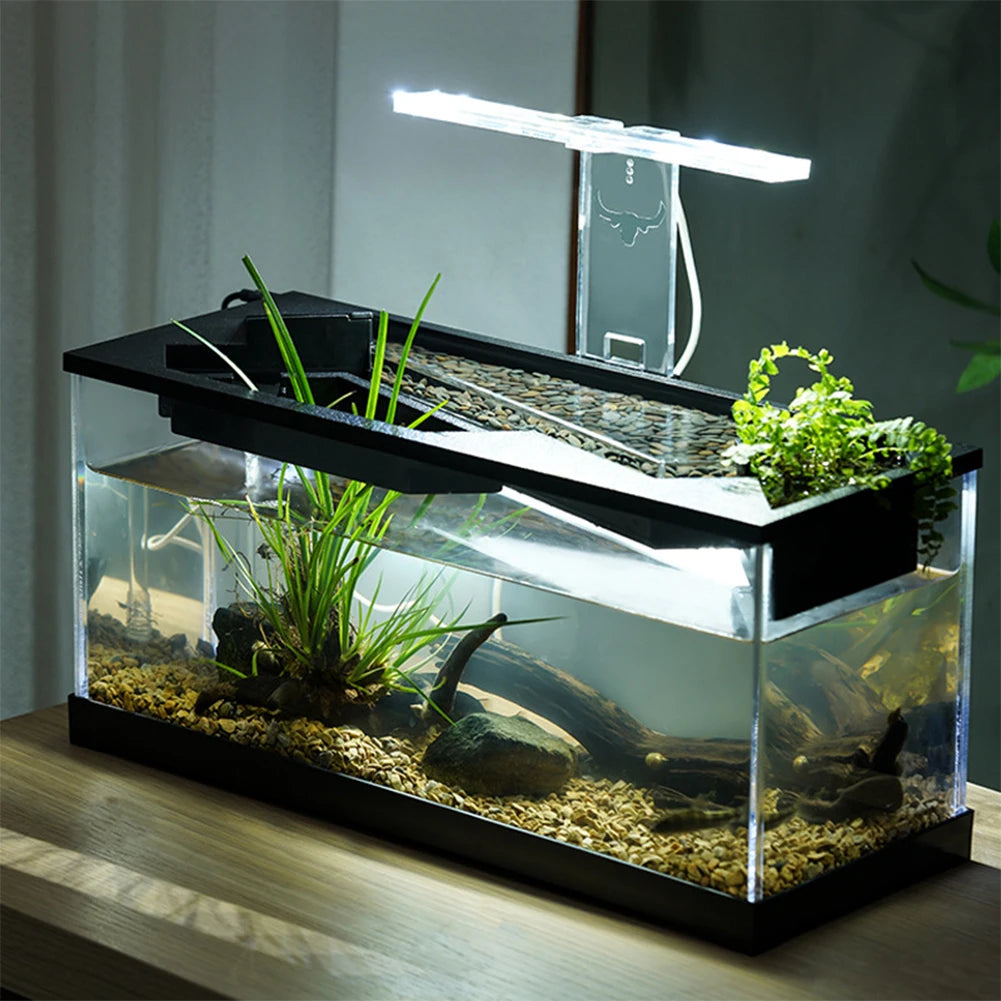 Small Fish Tank Aquarium Tank With Build-in Light Water Pump Clear Cover Ecological Cycle System High Transparency Acrylic Recta